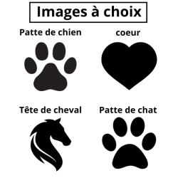 Urne 'Sirius' personnalisable